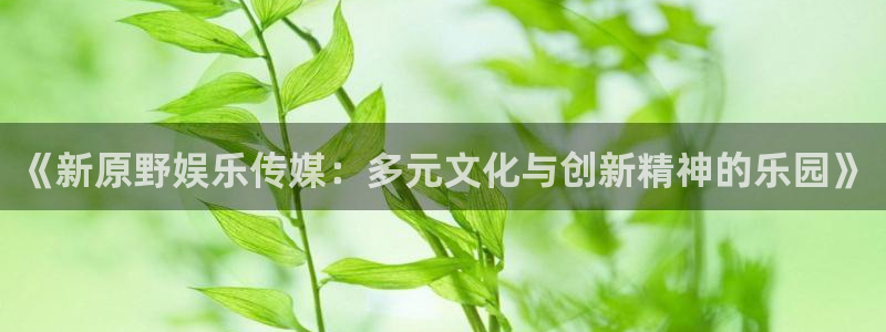 c7下载官方