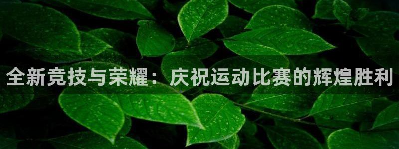 c7娱乐电子游戏app