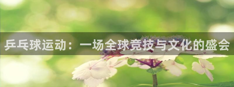 c7娱乐下载