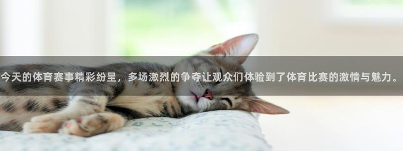 c7娱乐平台
