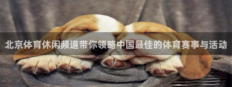 c7娱乐官网版下载