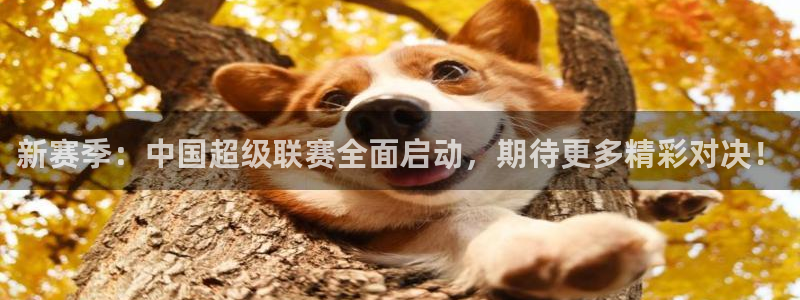 c7官网app下载安装