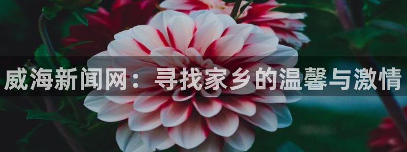 c7娱乐链接