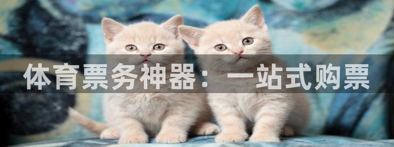 c7娱乐网址